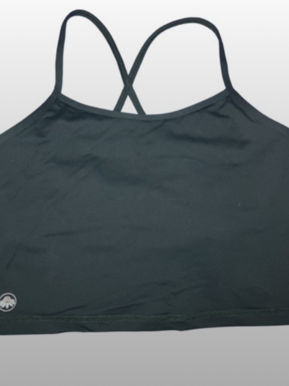 L | Ponderosa Ava Crop Top